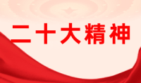 二十大精神